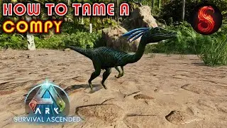 ARK SURVIVAL ASCENDED HOW TO TAME A COMPY