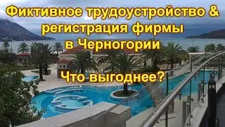 Фиктивное трудоустройство & регистрация фирмы