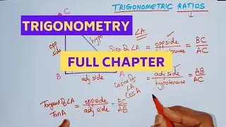 Trigonometry Chapter Full Chapter in One Video Class 10 | Trigonometry One Shot Video