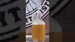 How Long Does It Take To Make Beer