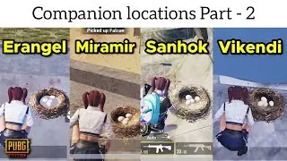 Companion Falcon Locations in Miramir, Sanhok & Vikendi Map | PUBG Mobile