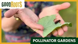 Good Roots: Pollinator Gardens