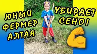 Как ЮНЫЙ ФЕРМЕР Алтая убирает сено💪. СЕНОКОС 2021 для КОЗ🐐. Переезжайте ИЗ ГОРОДА В ДЕРЕВНЮ!