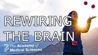 Rewiring the brain | Professor Heidi Johansen-Berg FMedSci