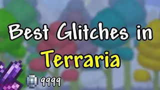 The BEST Glitches in Terraria