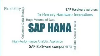 SAP HANA Demo By SAP SOLUTIONS