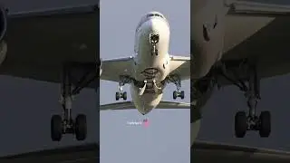 Boeing 787 Landing gear Close UP