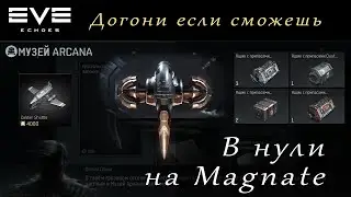 EVE Echoes -  Magnate для нулей | Археология + шатлы | Открываем сундуки (мобильная игра про космос)