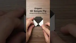 ORIGAMI FLY (Adriano Mariani) 