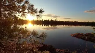 ТОЛЬКО ЯЗЬ МОЖЕТ ДУШУ РЫБАЦКУЮ ПОРАДОВАТЬ В ЭТО ВРЕМЯ НА РЫБАЛКЕ! МОХТИК НЕ ДОШЁЛ А ЯЗЬ НА МЕСТЕ)!