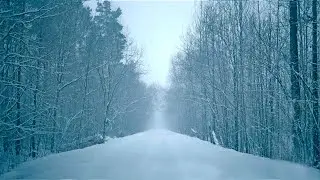 Beautiful falling heavy snow and best relaxing blizzard background sounds for meditation