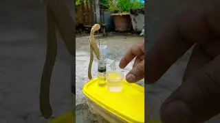 Amazing Mini Tubewell | 