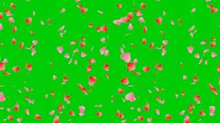 Shower of Red love hearts petals | No Copyright Green Screen effect 4K