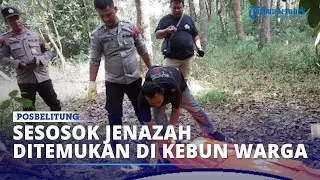 BREAKING NEWS : Sesosok Jenazah Ditemukan di Kebun Warga Terletak di Dukong Belitung