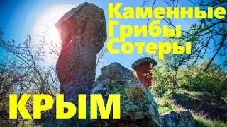 Stone mushrooms of Soter valley and Crimean freshwater crab