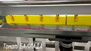 Машина полуавтоматическая для посева семян в кассеты. Примеры высева