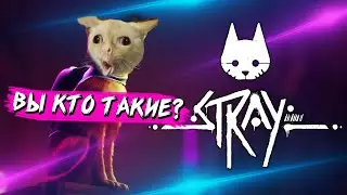 РЫЖИЙ КОТ В МЕРТВОМ ГОРОДЕ (ПРОХОЖДЕНИЕ Stray #1) пасхалки