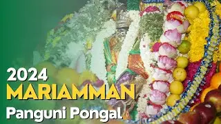 Mamsapuram Mariamman panguni pongal saari ottam 2024