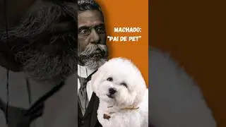 Machado de Assis: "pai de pet" #machadodeassis #biografias #literatura #historia