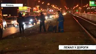 В Казани на проспекте Победы задержали пьяного пешехода лежащего на газоне | ТНВ