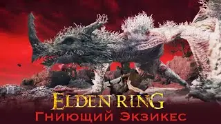 Elden Ring - Гниющий Экзикес Тактика Красная Гниль Сила