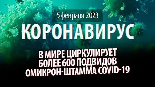 5 февраля 2023. В мире 600 подвидов омикрона. Статистика коронавируса в России на сегодня