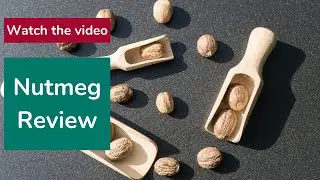 Nutmeg Review