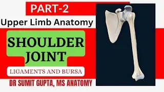 SHOULDER JOINT : Ligaments and Bursa