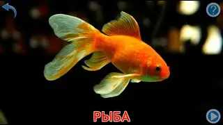 Учим названия морских обитателей.