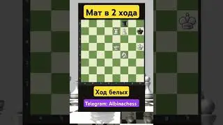 Telegram: Albinachess 