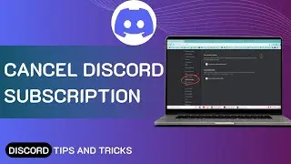 How To Cancel Discord Subscription 2024 | Initial Solution