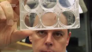 Steve Elledge, 2017 Breakthrough Prize in Life Sciences
