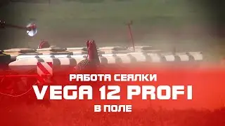 Сеялка пропашная VEGA 12 PROFI  - Работа сеялки в поле (CHERVONA ZIRKA)