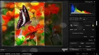 How to Use Lightroom 4 for Beginners