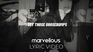 HVME - Goosebumps (Official Lyric Video)