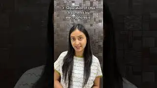 DNA Fingerprinting in 50 seconds 🤯 #neet #biology #shorts