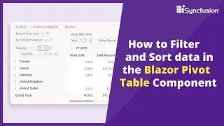 How to Filter and Sort Data in the Blazor Pivot Table Component