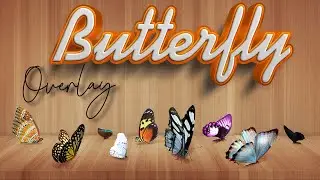 52+ Butterflies Photo Overlays ll Photoshop Overlay