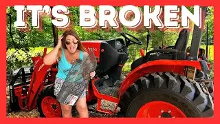 Did He Break The Kubota Tractor...Again? | Animal Update: When We Will Have Babies
