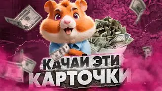 ЛУЧШИЕ КАРТОЧКИ и БЫСТРАЯ ПРОКАЧКА в Hamster Kombat / СТРАТЕГИЯ и ТАКТИКА в ХАМСТЕР КОМБАТ