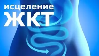 Исцеление желудочно-кишечного тракта. Скрытые аффирмации. Саблиминал.