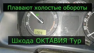 Шкода Октавия Тур 1.6 Плавают холостые обороты