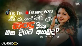 2024 Tik Tok Hit Songs (මේ මාසේ හිට් උන ටික එක දිගට අහමු) Tik Tok Hit Songs playlist (2024)