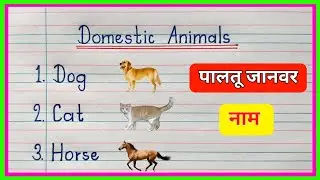 पालतू जानवरों का नाम | Domestic animals name in English | 10 Pet Animals Name in English and Hindi |