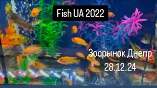 Зоорынок Днепр 28.12.24 ( птичий рынок , обзор по рыбкам)