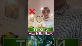 🤫Зачем Люди Бегают с Котами? 
