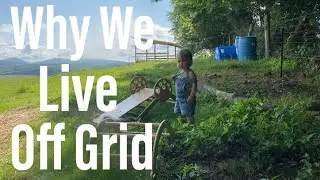 Be Free. No Mortgage. No Utilities. #offgrid #debtfree #homestead #selfsufficiency