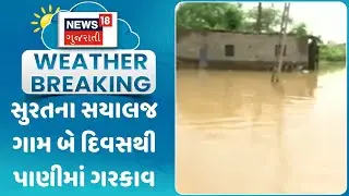 Surat News: સુરતના સયાલજ ગામ બે દિવસથી પાણીમાં ગરકાવ | Monsoon | Rain | Weather Upadate | News18