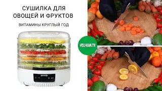 Сушилка для овощей и фруктов gorenje fdk500gcw полный обзор + тест