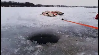 Пробурил лунку и кивок загнуло. Дикий Жор в глухозимье на водохранилище. Рыбалка, как она есть!